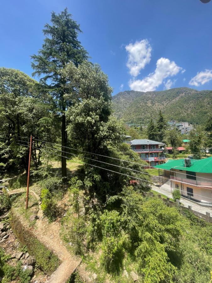 Eevolve Dharamkot - An Eco Hostel McLeod Ganj Exterior foto
